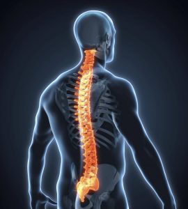 Washington DC Spinal Cord Injury Attorney